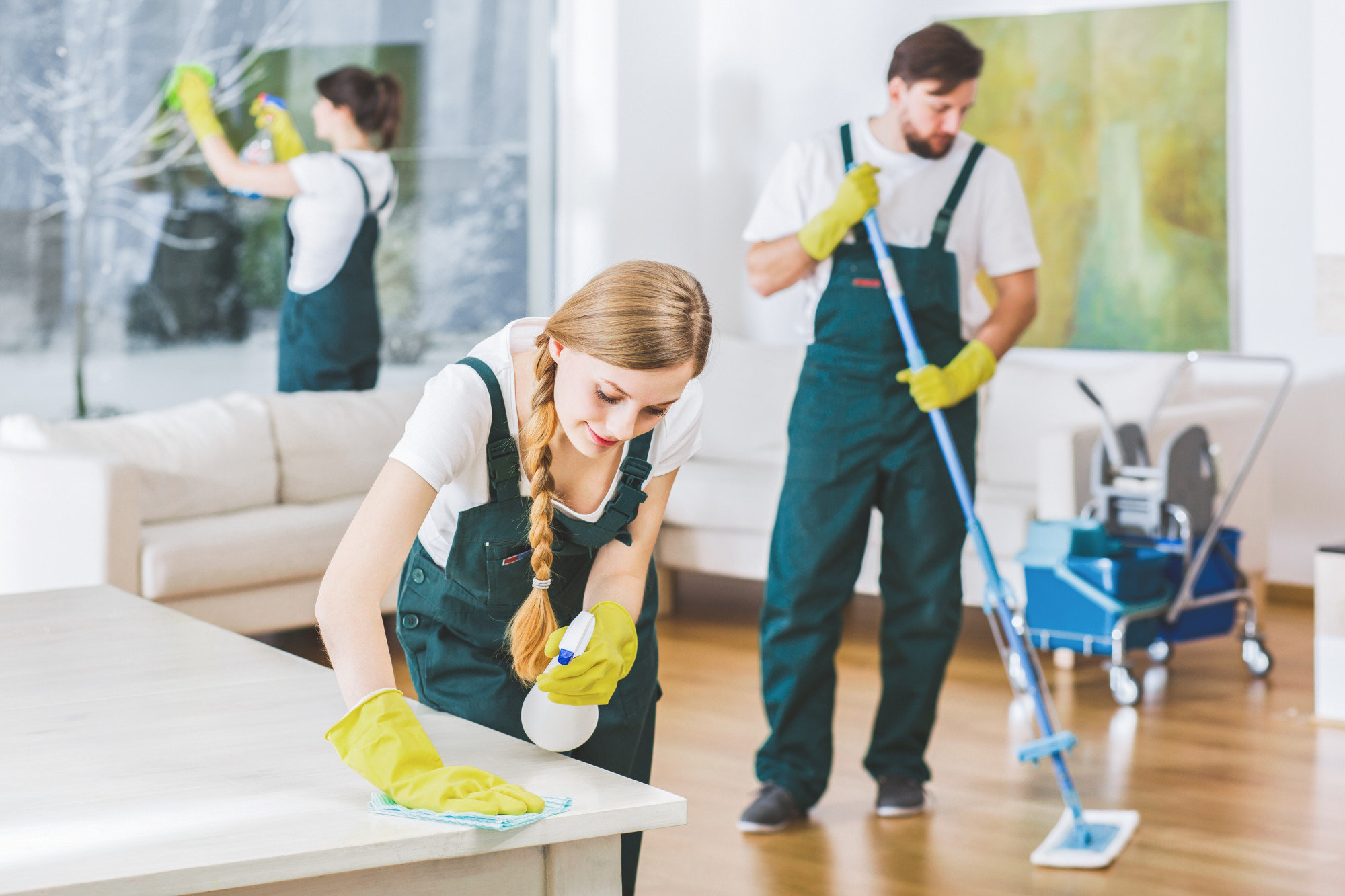 Professional Bond Cleaners