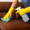Best Way to Clean and Disinfect Leather Couches