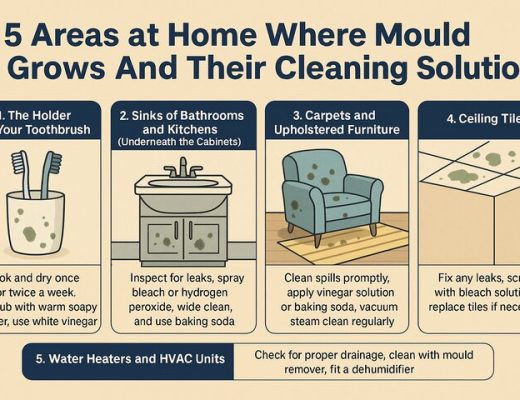 5 Areas at Home Where Mould Grows And Their Cleaning Solutions