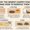 Five of the Worst Carpet Stains and How to Remove Them