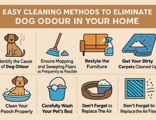 Easy Cleaning Methods to Eliminate the Dog Odour in Your Home