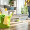 The Reasons Why Regular Cleaning is Important